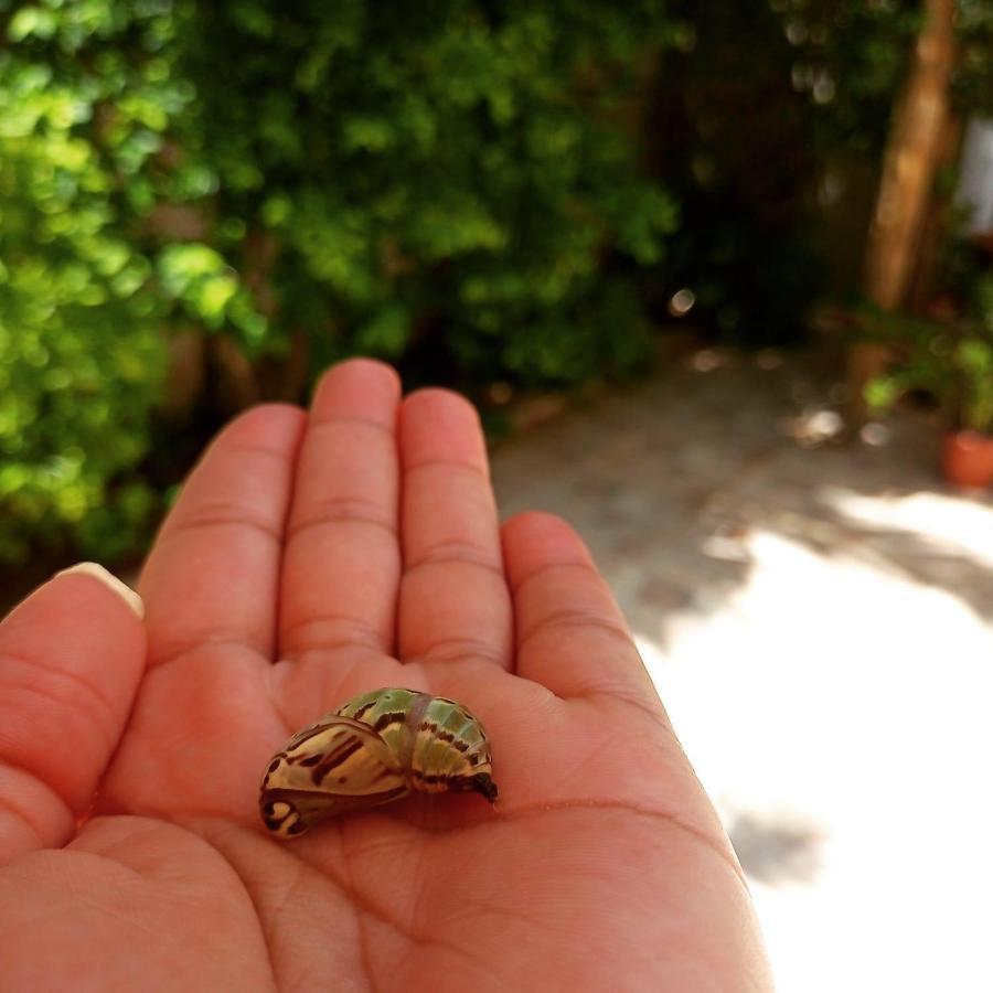 Canto Pedra Da Lua Arembepe Exteriér fotografie